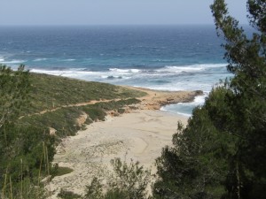 IMG_5440 (Medium)